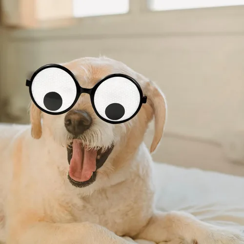 Vista 6 de HOHAJIU Googly Eyes, divertido juguete de bromas de anteojos, novedosos anteojos gigantes que sacuden, accesorios de disfraz divertidos para fiesta