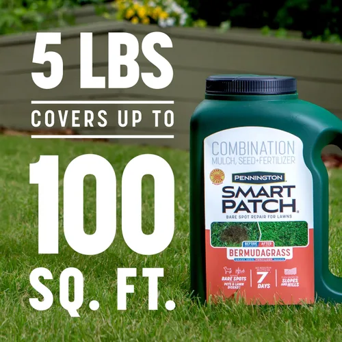 Vista 7 de Pennington Smart Patch mezcla de semillas de Bermuda para parches, 5 libras