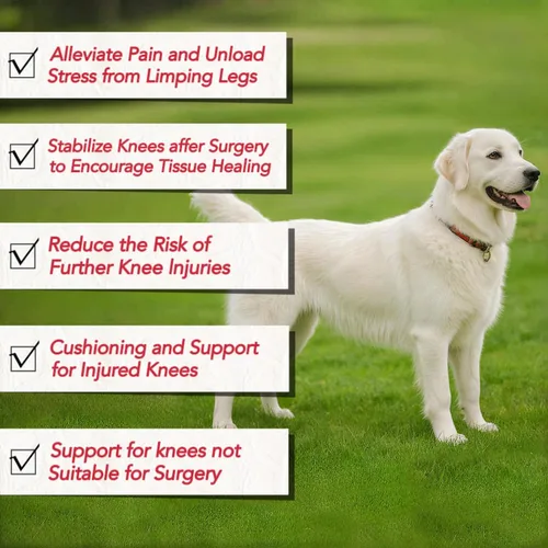Vista 4 de Rodillera para perro para curar heridas de perro, protector de codo de perro, tratamiento para artritis, alivio del dolor, lesiones de ligamentos