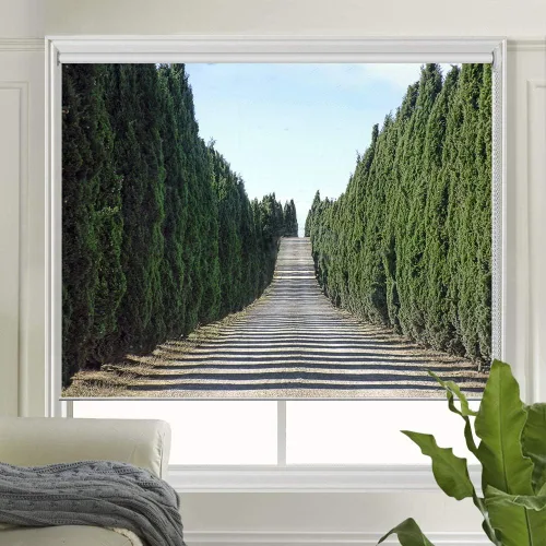 Vista 14 de LETAU - Persianas de ventana opacas, cortinas enrollables con protección UV impresa para el hogar, puerta, hotel, restaurante