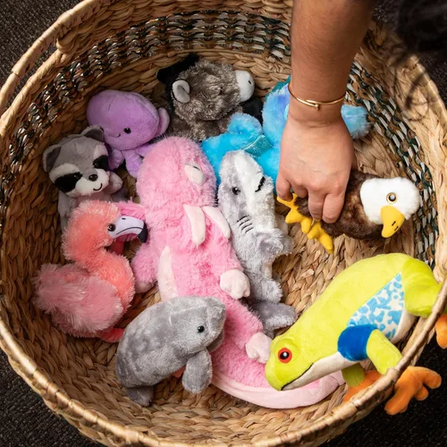 Vista 8 de The Petting Zoo - Peluche de águila calva, juguete de peluche, regalos para niños, colección Wild Onez Babiez Animales del Zoológico, juguete