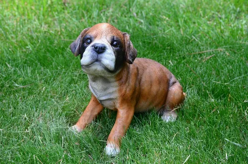 Vista 2 de Punch-Boxer Puppy M by Michael Carr Designs - Figura de perro cachorro para exteriores, para jardines, patios y césped (80108)
