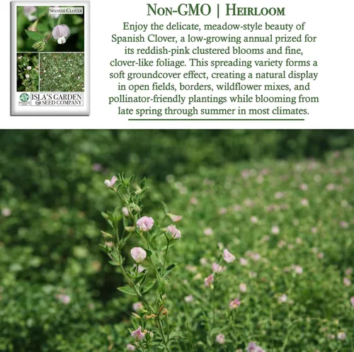 Vista 3 de Semillas de flores de pie de pájaro americano "Spanish Clover" para plantar, más de 1000 semillas por paquete, semillas de jardín de Isla