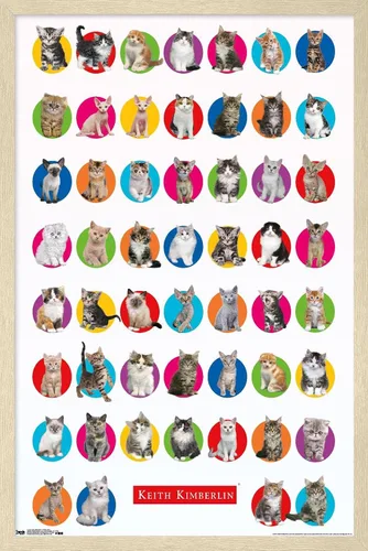 Vista 7 de Trends International Keith Kimberlin - Póster de pared de cuadrícula de gatito, 14.725 x 22.375 pulgadas, versión enmarcada de madera de granero