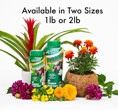 Vista 3 de Dynamite 605951 Alimento multiusos para plantas de interior y exterior, 1 libra