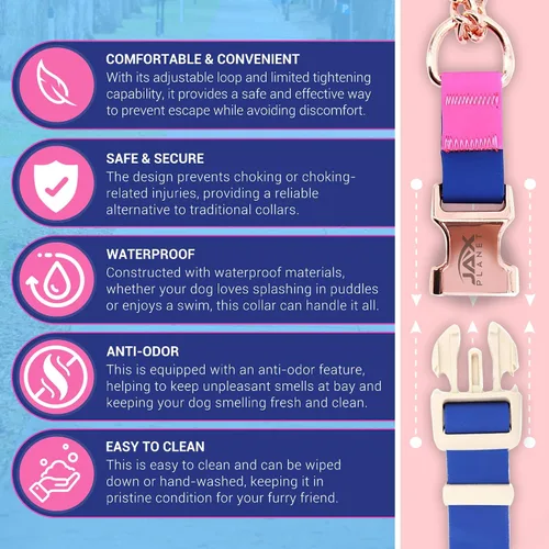Vista 3 de Jelly - Collar para perro martingala impermeable, collar de nailon sin tirones con hebilla de metal de aleación y anillo en D para entrenamiento