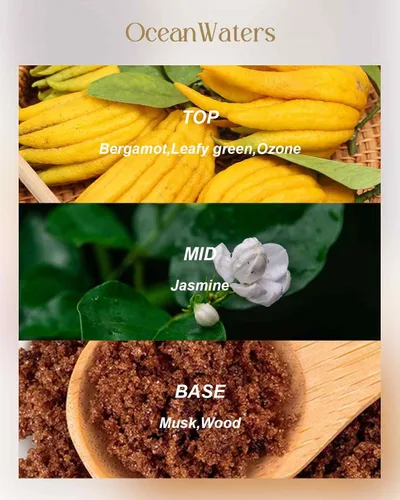 Vista 104 de M&SENSE Velas aromáticas de bayas cítricas, vela grande de lata de soja de 3 mechas, más de 40 horas de tiempo de combustión, cera vegana 100%