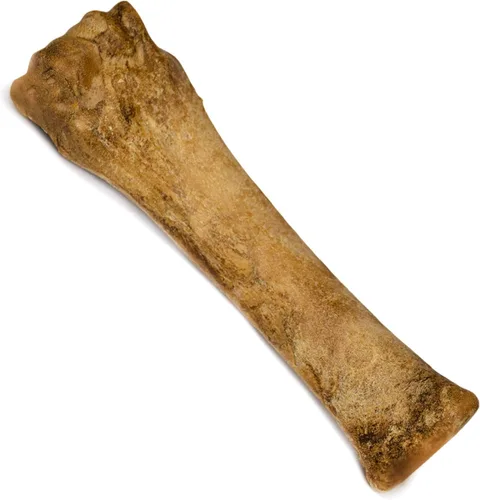 Vista 9 de Nylabone Healthy Edibles Masticables Naturales para Perros de Larga Duración con Sabor a Tocino para Perros, X-Large/Souper (1 unidad)