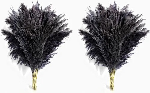 Vista 2 de Zacate de las Pampas Negro para Decoración del Hogar - Elegante Decoración Boho - Tallos de Alta Calidad de Zacate de las Pampas - Perfecto