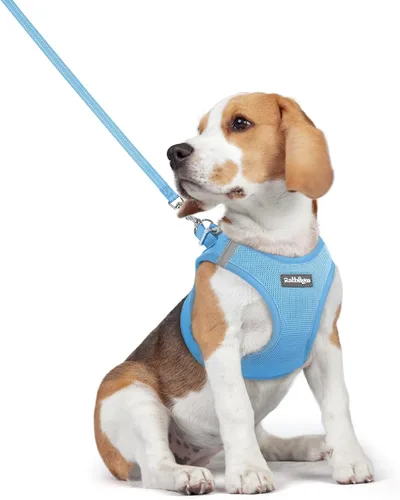 Vista 163 de rabbitgoo Arnés para perro de tamaño pequeño y juego de correa, chaleco Cachorros de manzana