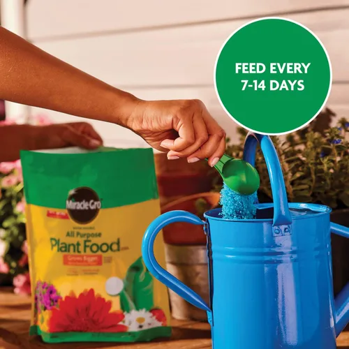 Vista 10 de Miracle-Gro - Alimento soluble en agua para plantas multiusos, fertilizante para todas las plantas de interior o exterior, incluyendo rosas, flores
