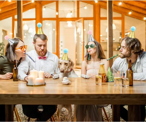 Vista 5 de Satinior Juego de 4 pajaritas con sombrero de cumpleaños de gato, azul lago