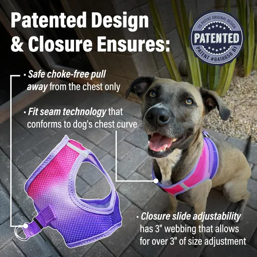 Vista 2 de Doggie Design Arnés para perro – Arnés para perro sin estrangulamiento, chaleco para perro, malla de poliéster, arnés para mascotas, diseño simple
