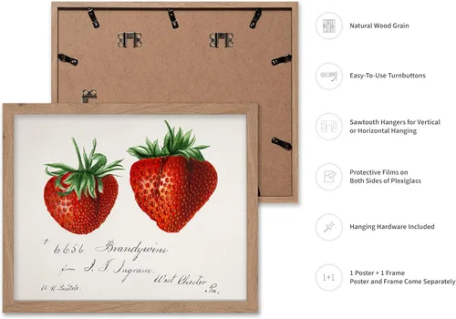 Vista 2 de Poster Master Póster vintage de fresas, impresión retro de fresas, arte de alimentos y frutas, regalo para veganos, vegetarianos, amantes
