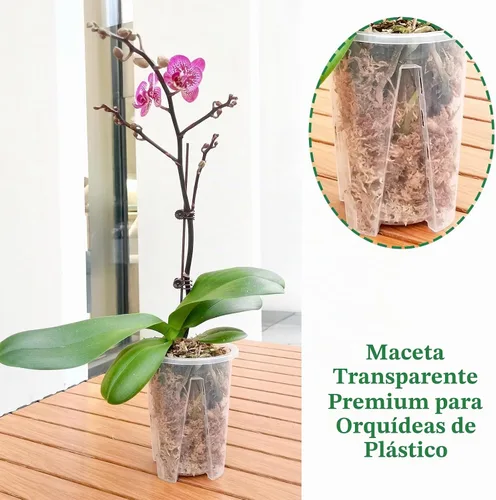 Vista 6 de Juego de 6 macetas de orquídea de 14 cm, macetas de orquídea para trasplante, macetas de orquídea transparentes de plástico con agujeros, maceta