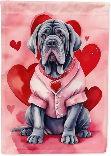 Vista 66 de Caroline's Treasures DAC5252GF Affenpinscher - Bandera de jardín con texto en inglés "My Valentine", bandera decorativa para patio exterior, patio