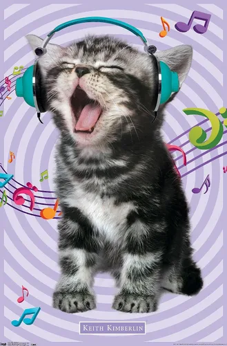 Vista 8 de Trends International Keith Kimberlin - Gato - Póster de pared cantando, 14.725 x 22.375 pulgadas, versión con marco de madera tipo granero