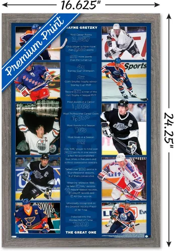 Vista 3 de Trends International Wayne Gretzky - Póster de pared de estadísticas, 22.4 pulgadas de largo x 14.7 pulgadas, versión enmarcada en madera de granero