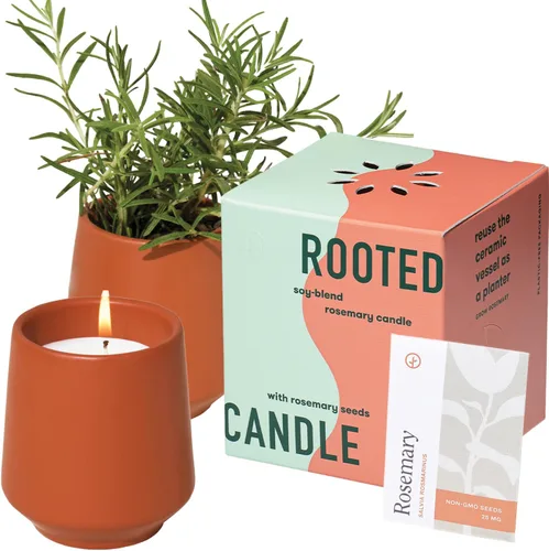 Vista 15 de Modern Sprout Maceta de vela de soja, crece albahaca, aroma a albahaca