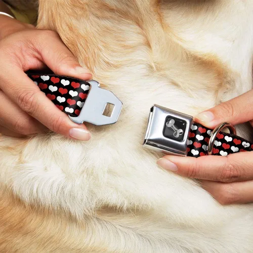 Vista 8 de Buckle-Down Collar de perro con hebilla de cinturón de seguridad, mini corazones, negro, rojo, blanco, 1 pulgada de ancho, se adapta a cuello de 9 a