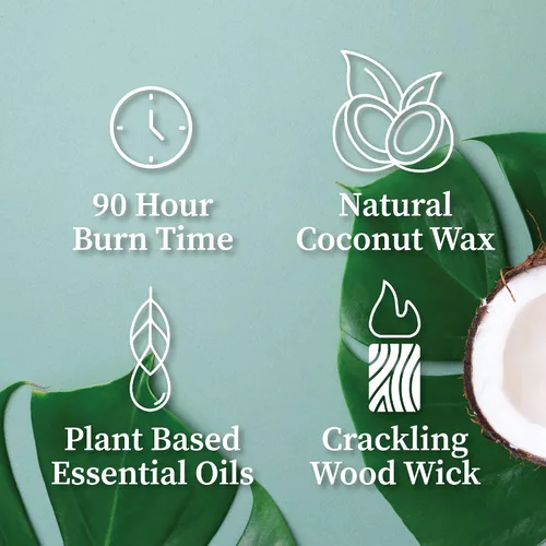 Vista 4 de Vela de mecha de madera agrietada Hemlock Park hecha a mano con cera de coco natural (grande de 16 oz, ámbar) Coconut Apricot Wax Crackling Wood
