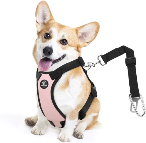 Vista 40 de VavoPaw cinturón de seguridad para perro, arnés de coche con hebilla ajustable para perro, cinturón de seguridad de nailon para mascotas, resistente