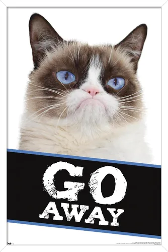 Vista 12 de Trends International Grumpy Cat - Póster de pared con texto en inglés «Go Away», 14.725 x 22.375 pulgadas, versión enmarcada de madera de granero