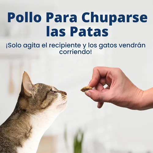 Vista 2 de Blue Buffalo - Premios crujientes Bursts para gatos, de pollo, tarro de 340,1 g