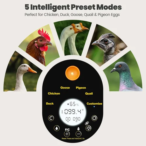 Vista 2 de Incubadoras para incubar huevos - Incubadora automática de pollitos de huevos de 15 huevos con 5 modos preestablecidos inteligentes y control