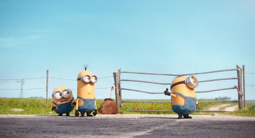 Vista 5 de Minions DVD