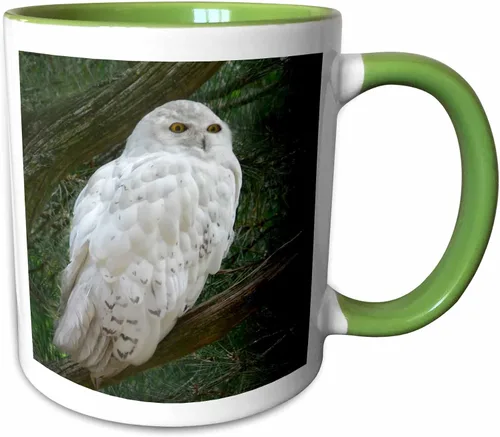 Vista 13 de 3dRose mug_154800_4 - Taza con diseño de búho blanco nieve posado en una rama contra un fondo verde, 11 onzas, color negro