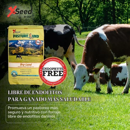 Vista 4 de X-Seed Mezcla de semillas de forraje de tierras secas con Micro-Boost – Festuca alta hierba huerta de riegrass, pasto libre de endófitos para una