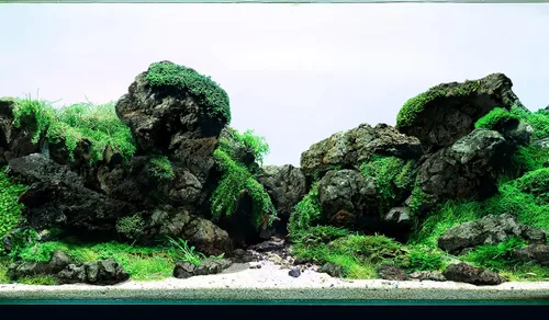 Vista 12 de LANDEN Piedras de Dragón Naturales (16 libras, 2~8 pulgadas, 7-8 piezas) para Aquascaping, Terrarios, Paludarios, Vivarios, Recintos de Reptiles