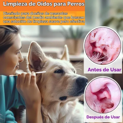 Vista 2 de 100 hisopos de algodón de 6 pulgadas de largo en caja, hisopos de algodón grandes profesionales con mango de bambú, hisopos de doble cara para Doble