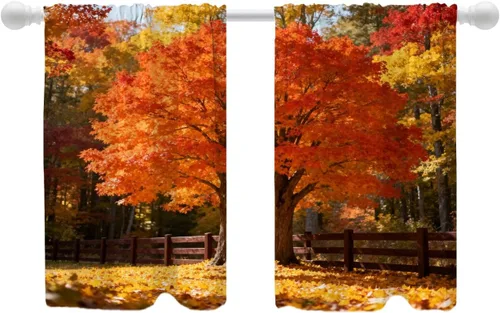 Vista 67 de Shrahala Orange Autumn Autumn Blackout Curtain Tiers, Fall Kitchen Valance Light Blocking Tier Drapes with Rod Pocket, 2 Pack 26 X 24 in