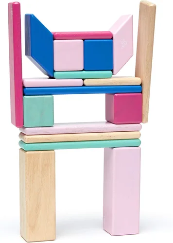 Vista 11 de Conjunto de 24 bloques magnéticos de madera de Tegu, talla única , Blossom