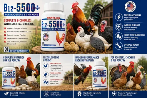 Vista 4 de Farmalab B12 5500 Plus para gallinas aves de corral Gamefowl Plus para Gallos Gallinas Pollos Aves de Corral
