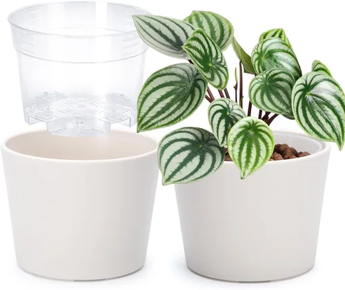 Vista 49 de Phoenix Vine Macetero de plástico verde oliva de 4.5 pulgadas con maceta transparente, cubierta decorativa ligera con maceta interior transparente