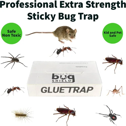 Vista 2 de Bug Shield - Trampas adhesivas de pegamento para 72 tableros de pegamento, todo tipo de incetes, arañas, cucarachas, hormigas, grillos de cuevas