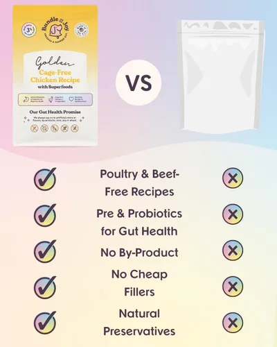 Vista 7 de Bundle x Joy Golden Probiotic - Comida seca para perros con probiótico dorado, pollo, bolsa de 4 lb, croquetas para adultos con pollo libre