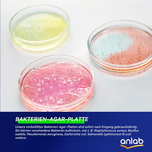 Vista 3 de Kit de Proyecto Científico de Placas de Petri de Agar Nutritivo Placas de Agar Pre-vertidas e Hisopos de Algodón para Experimentos Científicos