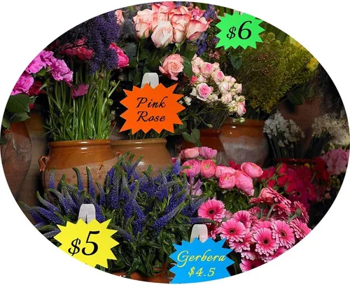 Vista 4 de Señales fluorescentes de la venta al por menor de la promoción de 200 pedazos signos Starburst signos de papel brillante