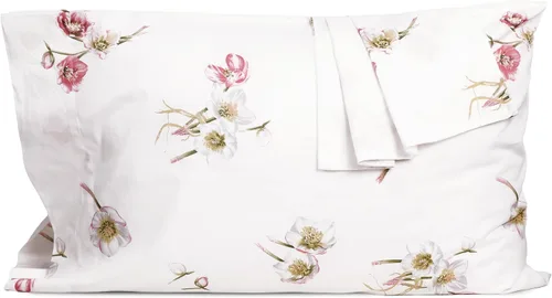 Vista 15 de Pillow Cases 100% Cotton Percale Standard Queen Set of 2 Blue Floral Floral Pillowcases Breathable Hypoallergenic Pre-Shrunk, 20 Inch x 30 Inch