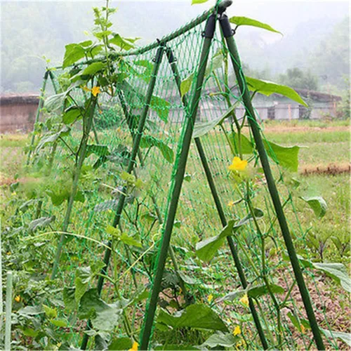 Vista 5 de Red de enrejado para plantas de jardín, soporte de plantas de alta resistencia, red de enrejado de vid y vegetal, red de trepadora, red de cultivo