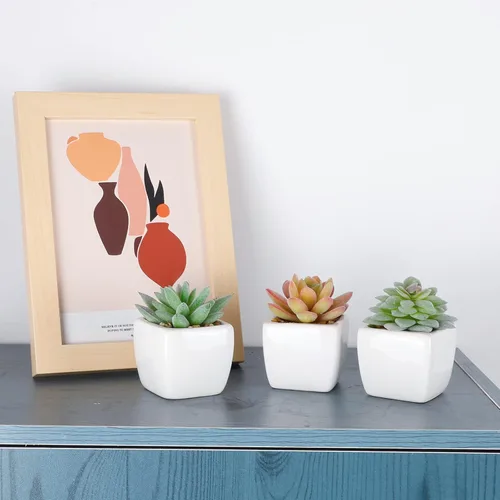 Vista 7 de Funarty juego de 5 plantas suculentas artificiales en maceta para decoración del hogar