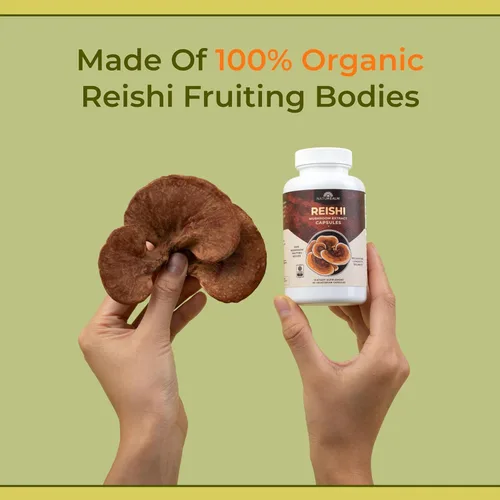 Vista 7 de Naturealm Suplemento de hongos Reishi – Cápsulas de extracto de hongo Reishi orgánico para bienestar y apoyo cognitivo – 90 cápsulas vegetarianas