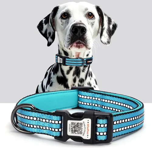 Vista 26 de Collar de perro personalizado ilFindYou con etiqueta de código QR para identificación de mascotas, collar reflectante de seguridad, adecuado