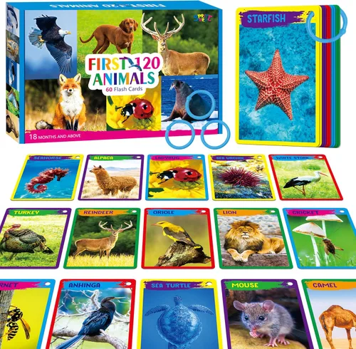 Vista 19 de 110 PCS Tarjetas de Aprendizaje Temprano, Tarjetas de Doble Cara - Alfabeto, Números, Alimentos, Animales, Formas, Colores, Objetos del Hogar con 4