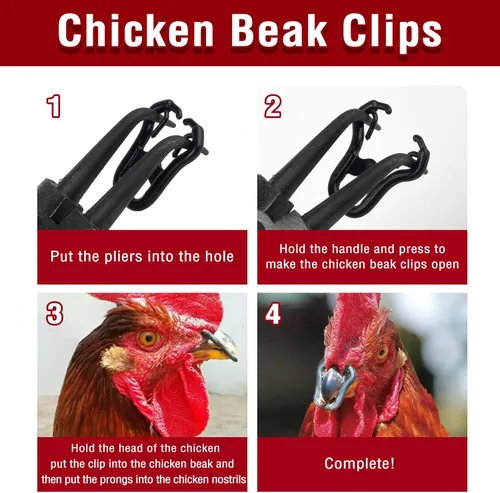 Vista 4 de Un juego de 100 unidades, 50 picadores de pollo sin alfiler con ojos saltones y 50 clips de pico de pollo, anteojos antipinchazos, alicates, manual