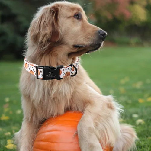 Vista 290 de Collar para perros del 4 de julio, collares patrióticos azules para cachorros y perros pequeños, ligero y ajustable 1776 collares para cachorros
